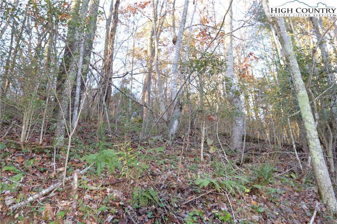5839 Pine Swamp Road Sparta, NC 28675 - Photo 6 of 13 Gallery Image 6