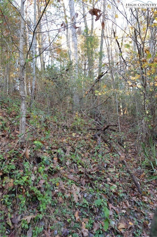 5839 Pine Swamp Road Sparta, NC 28675 - Photo 7 of 13 Gallery Image 7