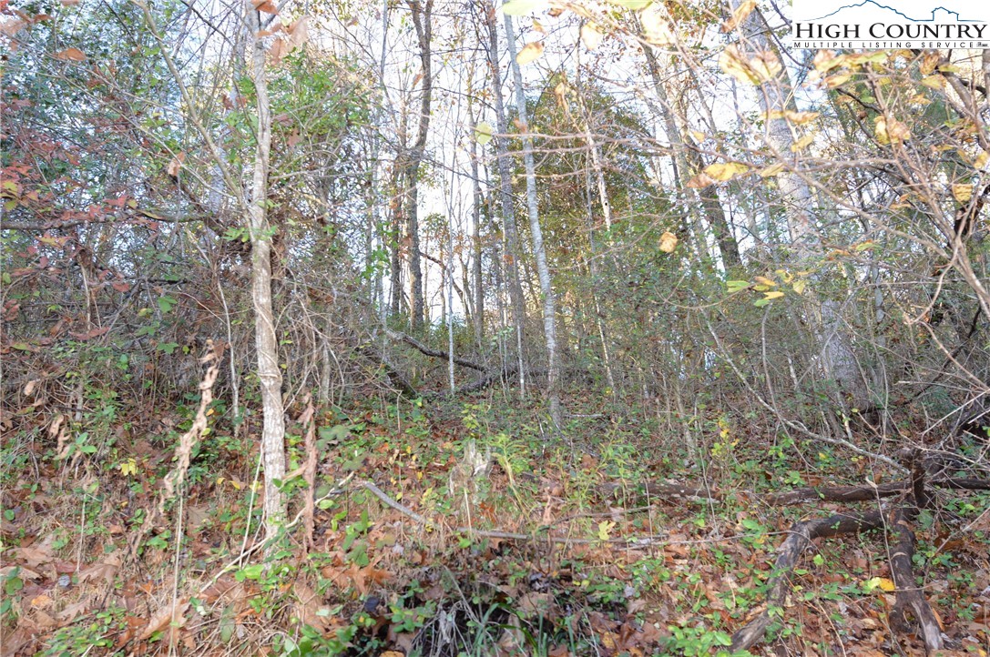5839 Pine Swamp Road Sparta, NC 28675 - Photo 8 of 13 Gallery Image 8