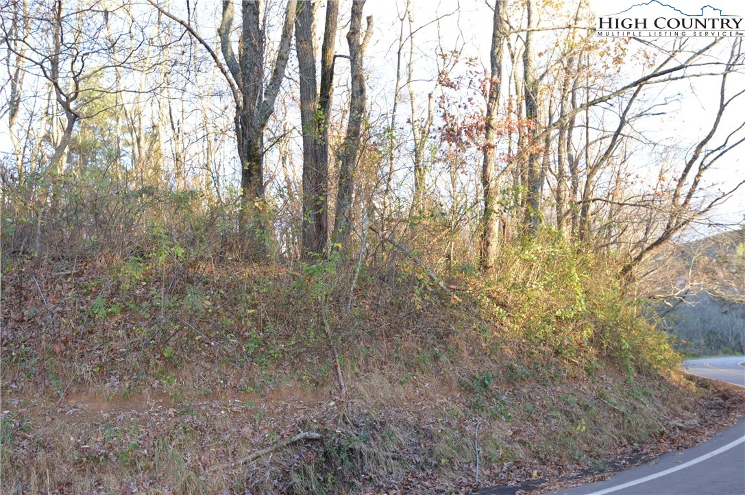 5839 Pine Swamp Road Sparta, NC 28675 - Photo 10 of 13 Gallery Image 10