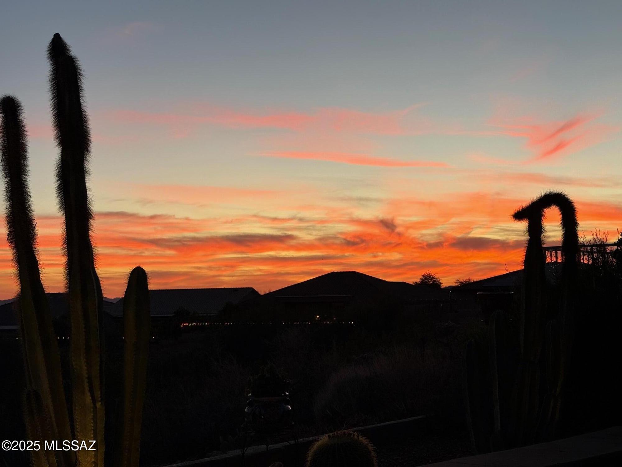 62893 East Flower Ridge Drive Tucson, AZ 85739 - Photo 45 of 49 5