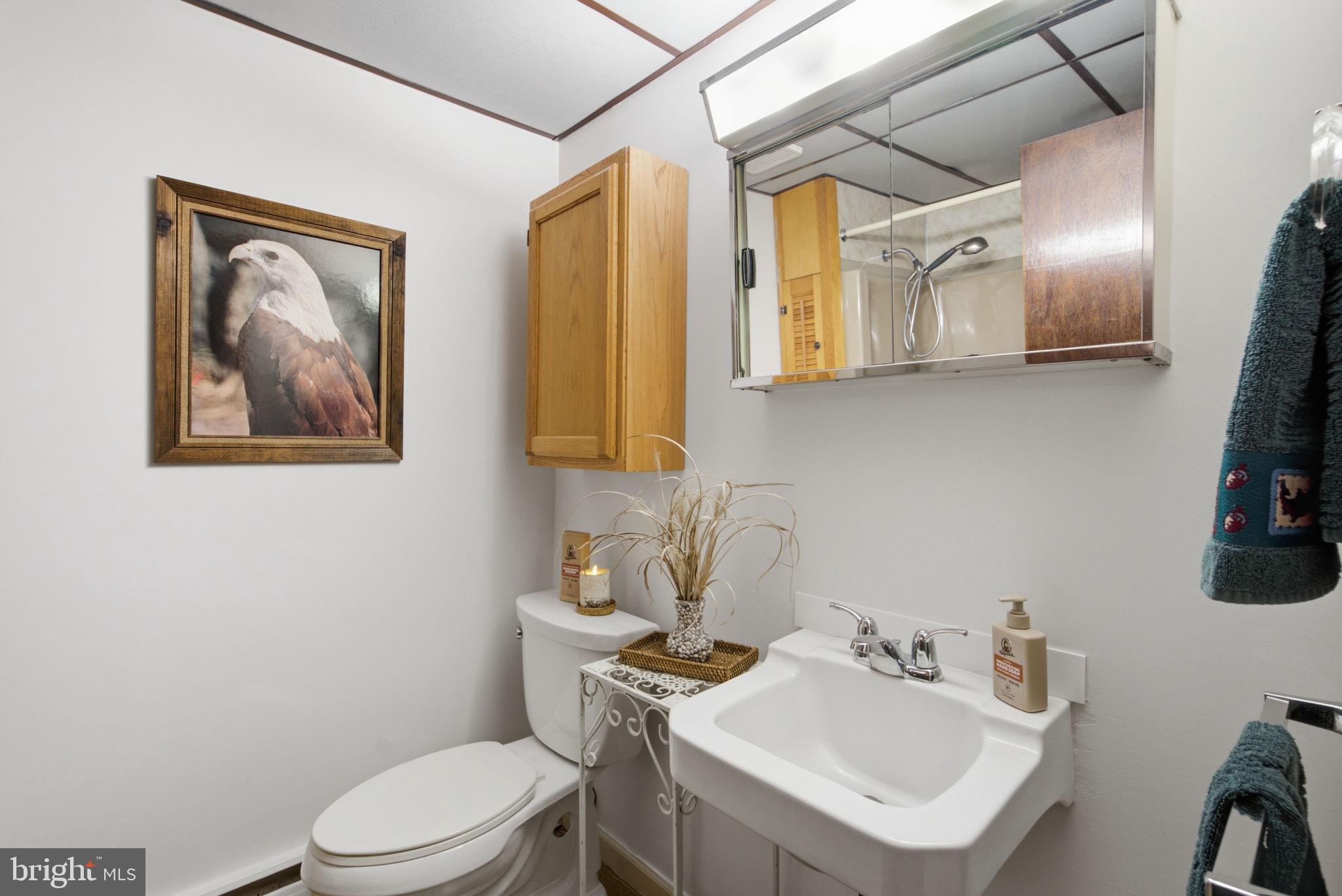 4208 Howard Road Beltsville, MD 20705 - Photo 27 of 47 Lower Level Full Bath