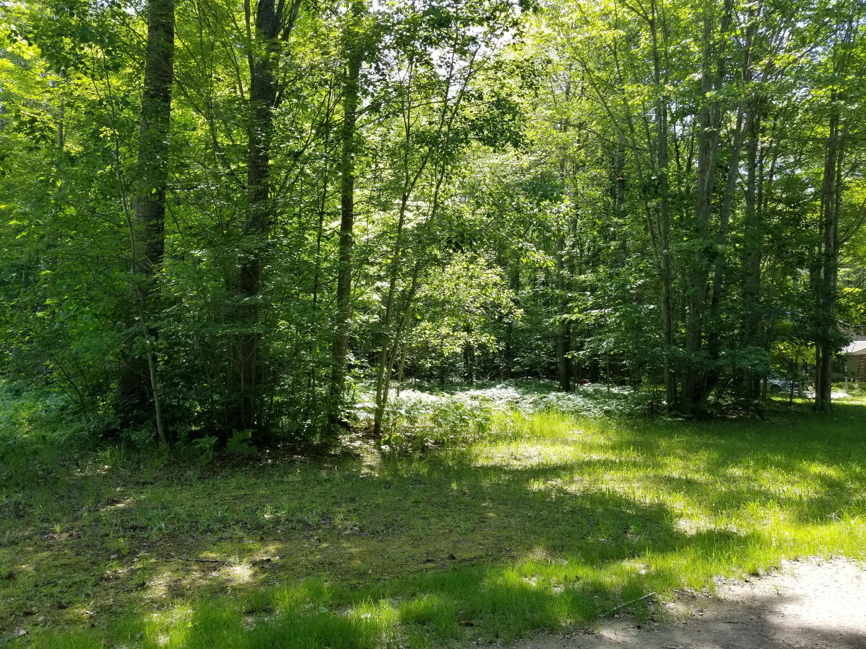 Mitchell Drive Cheboygan, MI 49721 - Photo 4 of 11 Gallery Image 4