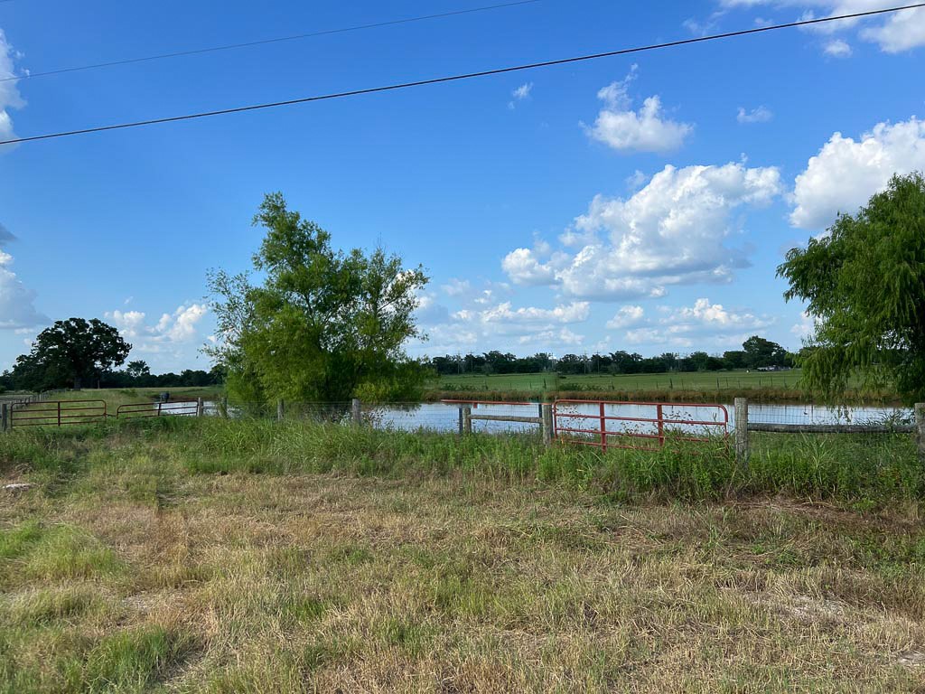 15130 Fm 39 Road Bedias, TX 77831 - Photo 19 of 26