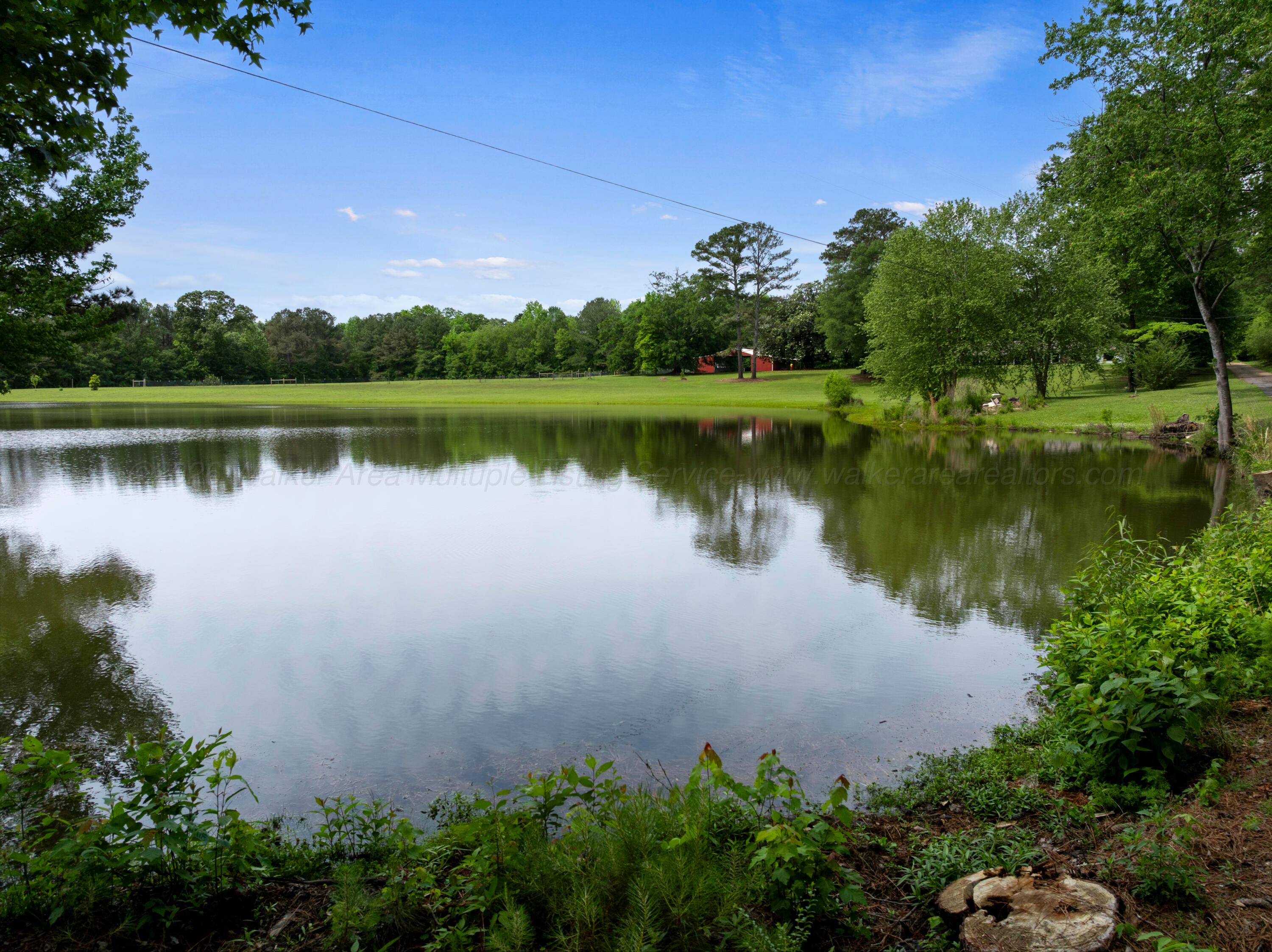 1751 North Walston Bridge Road Jasper, AL 35504 - Photo 3 of 52 3-acre bass pond sitting at the front of the property.