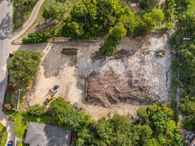 a view of a yard with plants and large trees