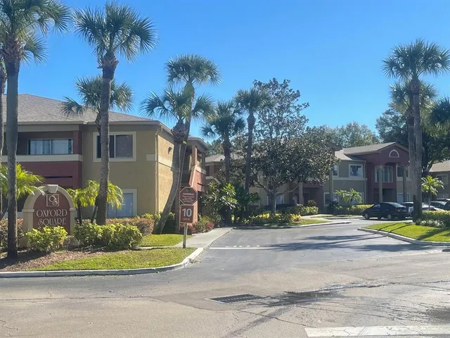 a view of a house with palm trees and a small yard