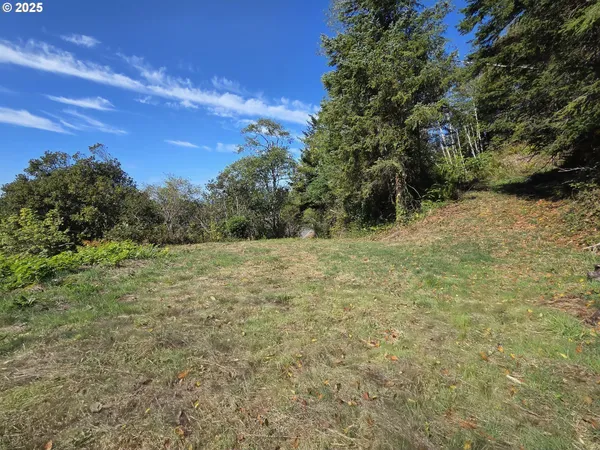 a big yard with lots of green space
