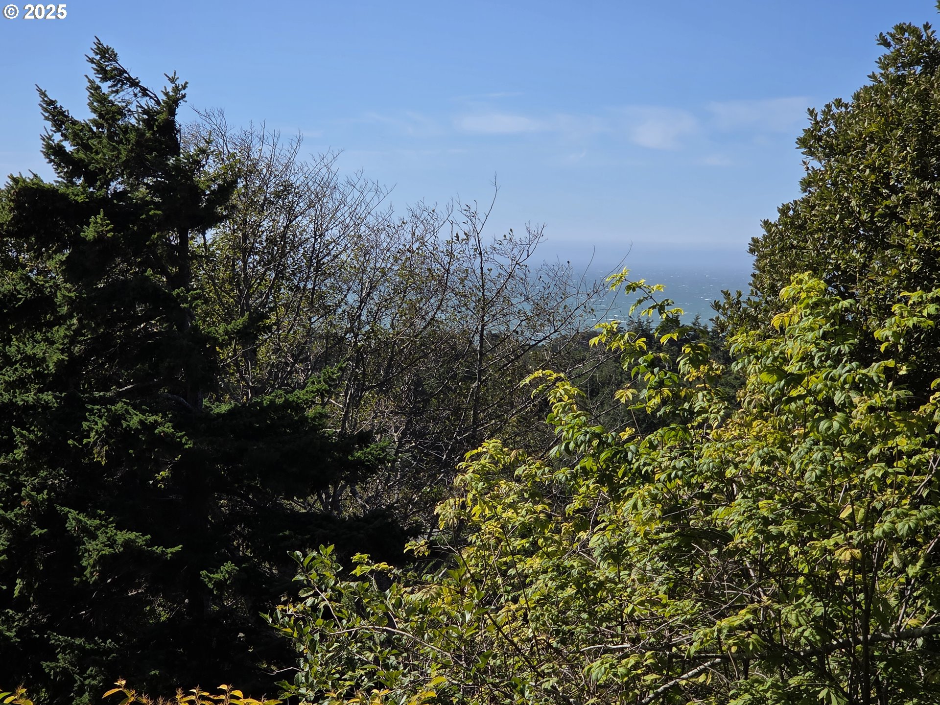 Hillside Acres Road, Unit 124 Gold Beach, OR 97444 - Photo 11 of 30 a view of a plant in a garden