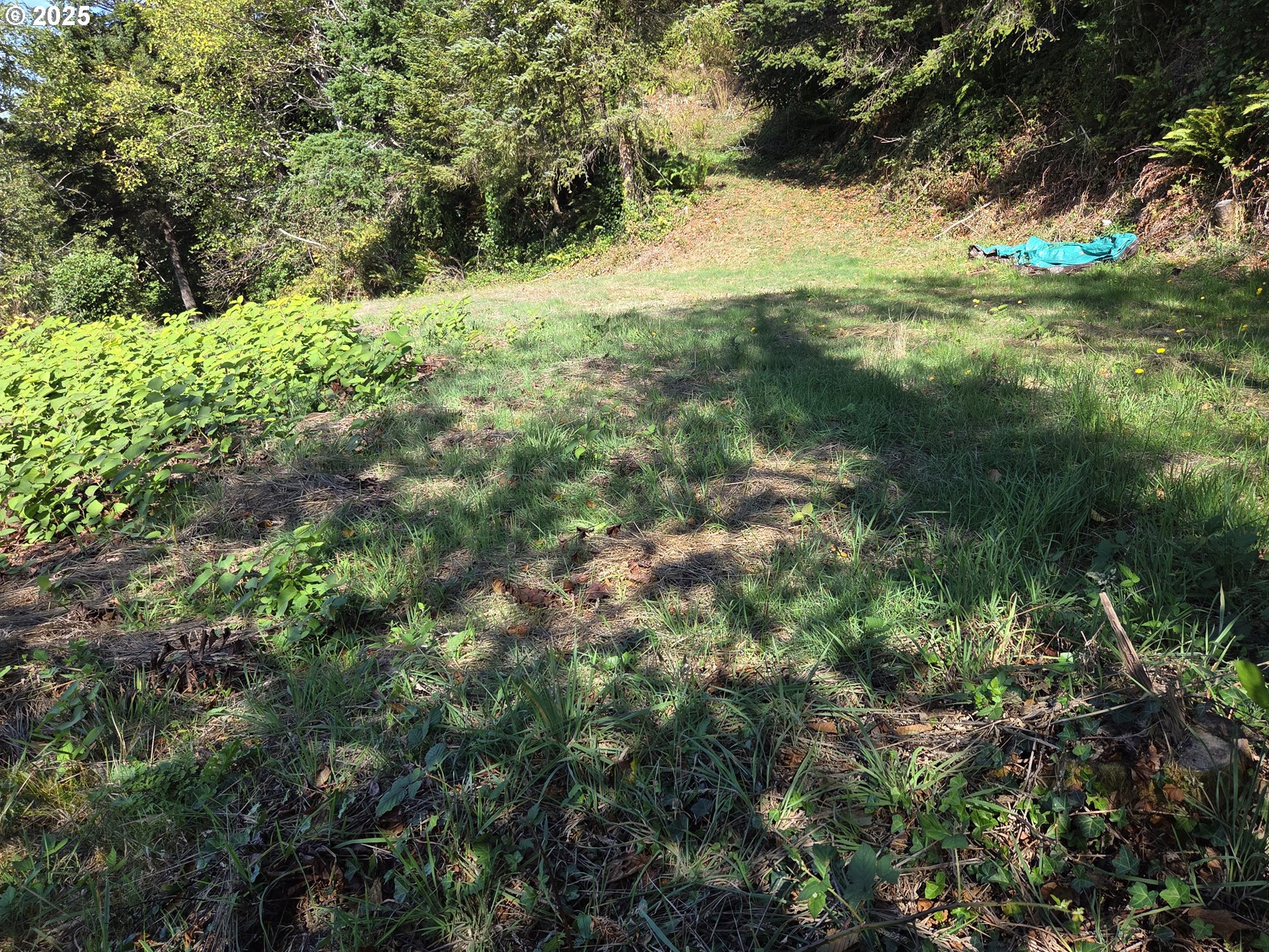 Hillside Acres Road, Unit 124 Gold Beach, OR 97444 - Photo 13 of 30 a view of outdoor space with a yard