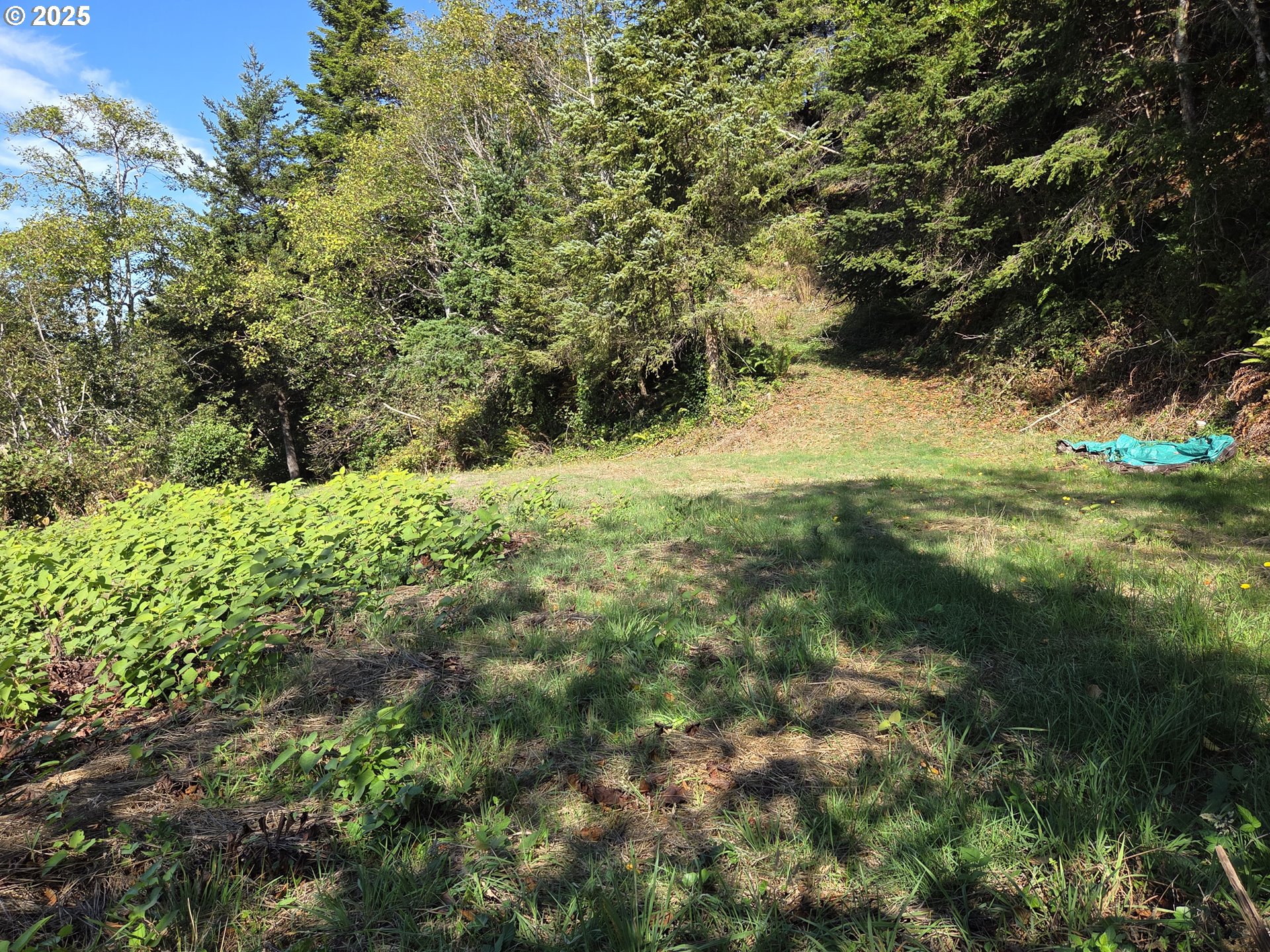 Hillside Acres Road, Unit 124 Gold Beach, OR 97444 - Photo 14 of 30 a view of a yard with a tree