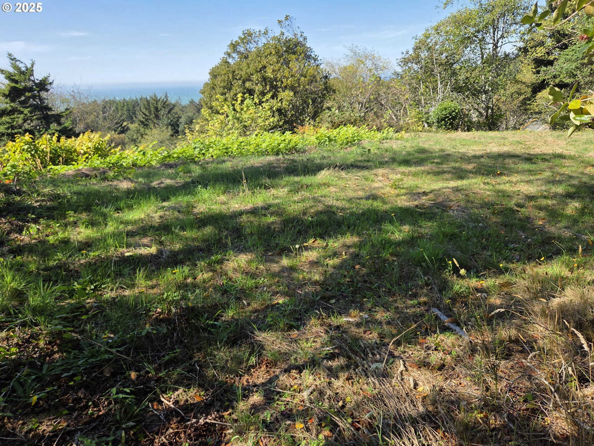 Hillside Acres Road, Unit 124 Gold Beach, OR 97444 - Photo 16 of 30 a view of a yard with a tree