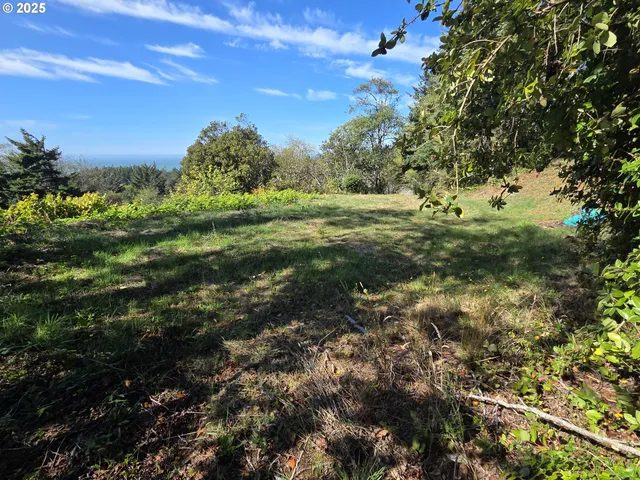 a view of a field of grass and trees