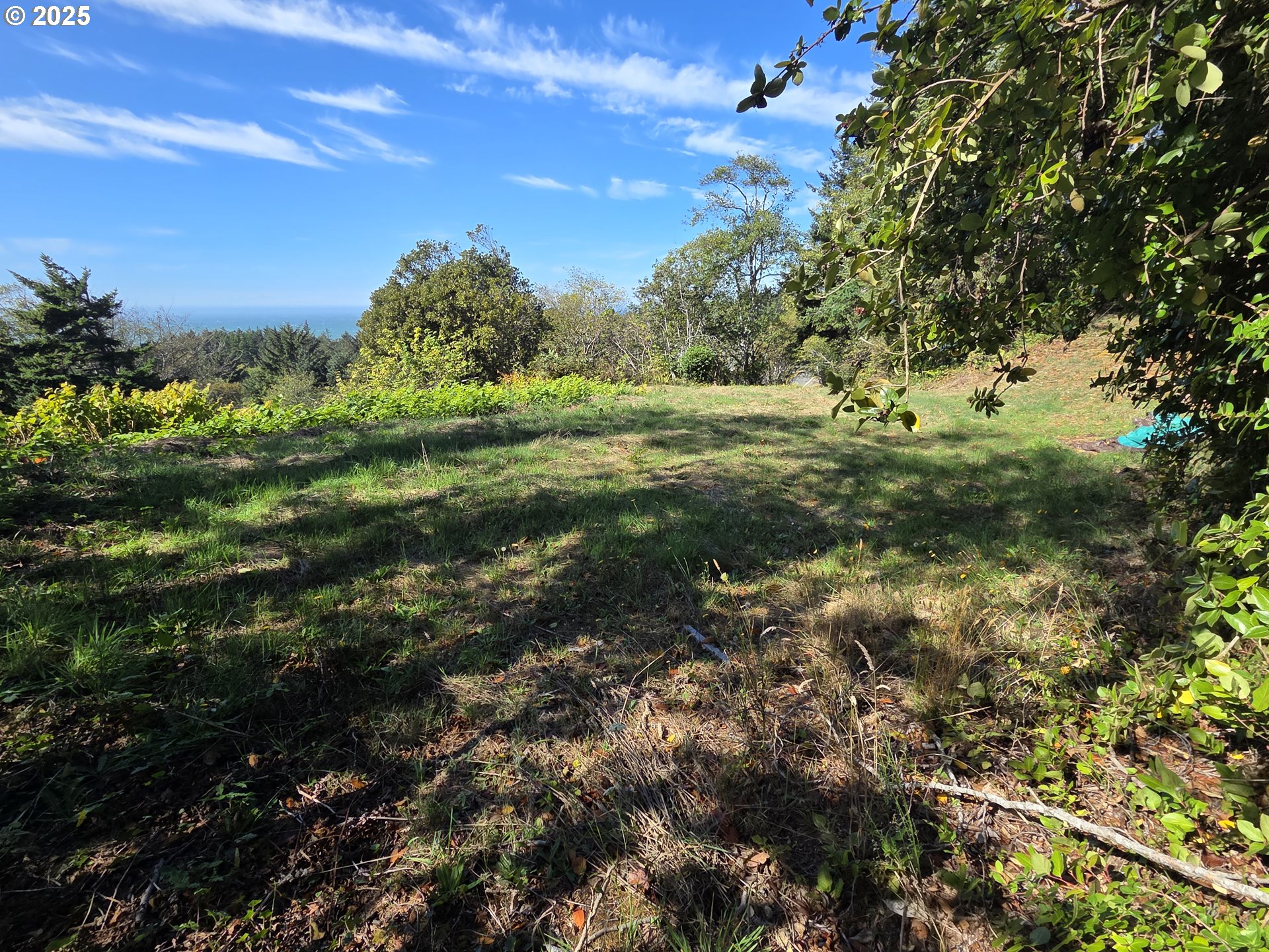 Hillside Acres Road, Unit 124 Gold Beach, OR 97444 - Photo 18 of 30 a view of a field with a tree