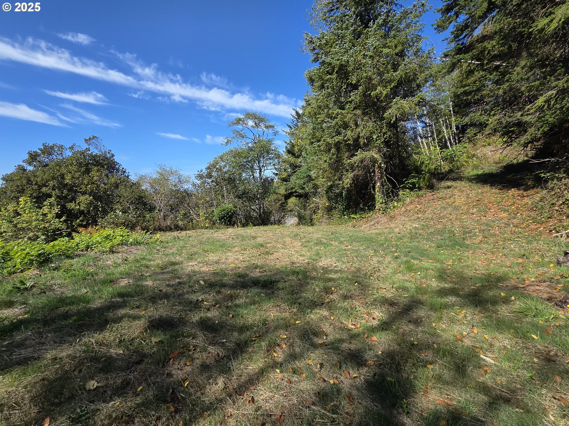 Hillside Acres Road, Unit 124 Gold Beach, OR 97444 - Photo 19 of 30 a view of a field of grass and trees