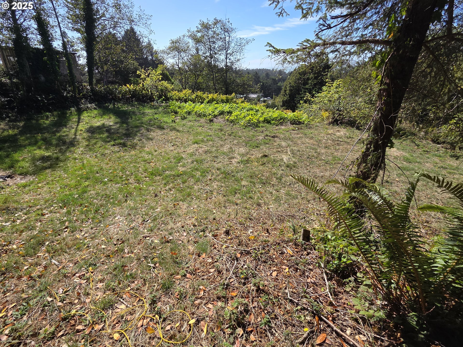 Hillside Acres Road, Unit 124 Gold Beach, OR 97444 - Photo 20 of 30 a view of a yard with a tree