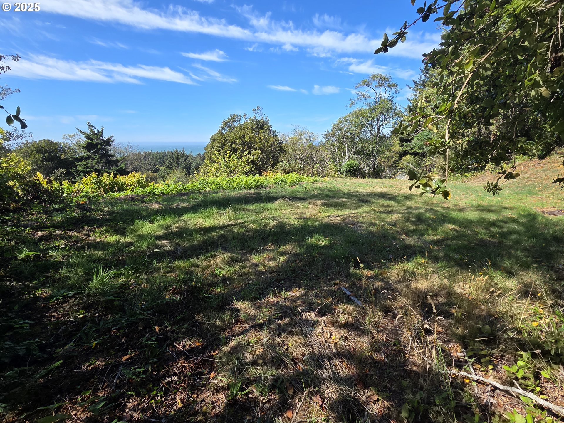 Hillside Acres Road, Unit 124 Gold Beach, OR 97444 - Photo 2 of 30 a view of a green field