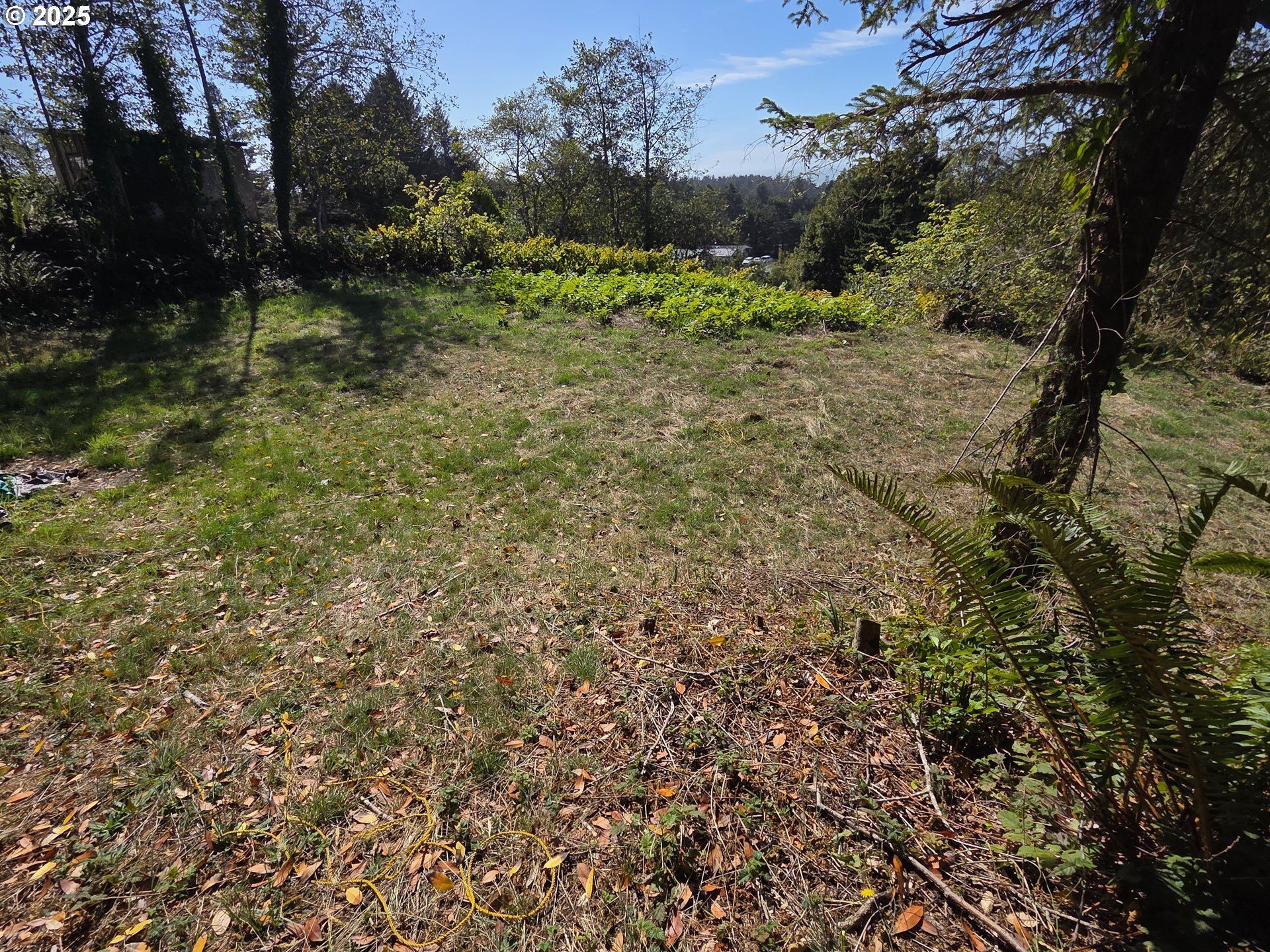 Hillside Acres Road, Unit 124 Gold Beach, OR 97444 - Photo 21 of 30 a view of a yard with a tree