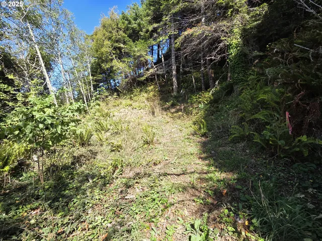 a view of a yard with plants and trees