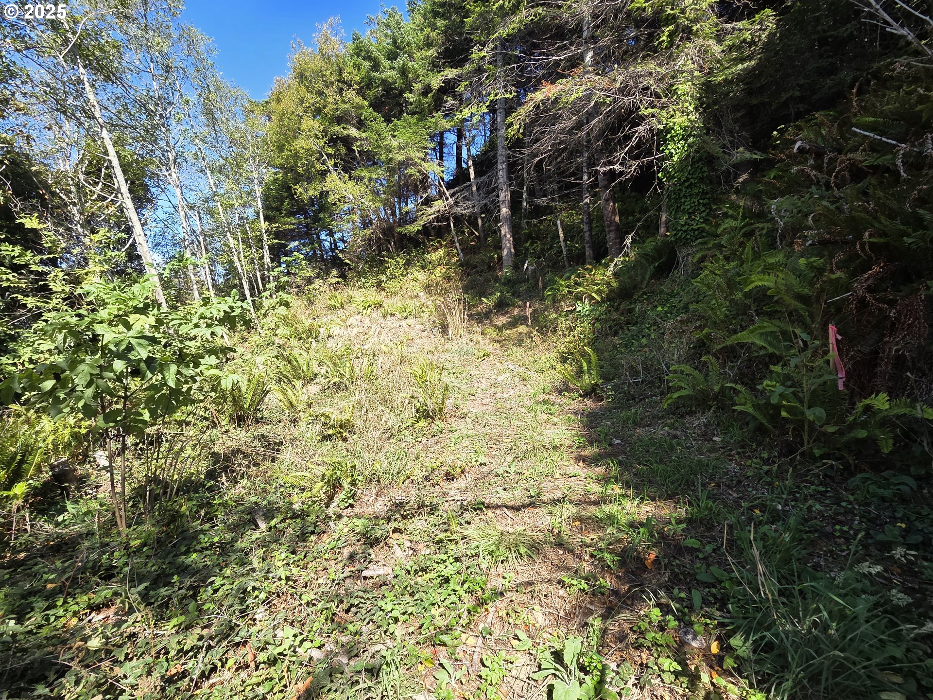 Hillside Acres Road, Unit 124 Gold Beach, OR 97444 - Photo 23 of 30 a view of a small yard