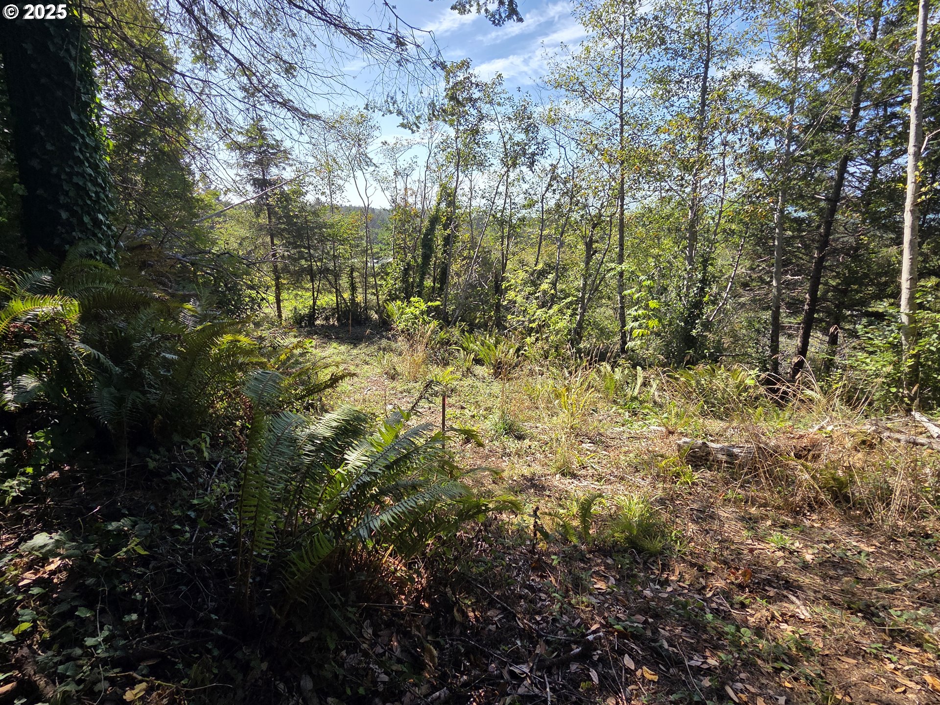 Hillside Acres Road, Unit 124 Gold Beach, OR 97444 - Photo 24 of 30 a view of a yard with plants and trees