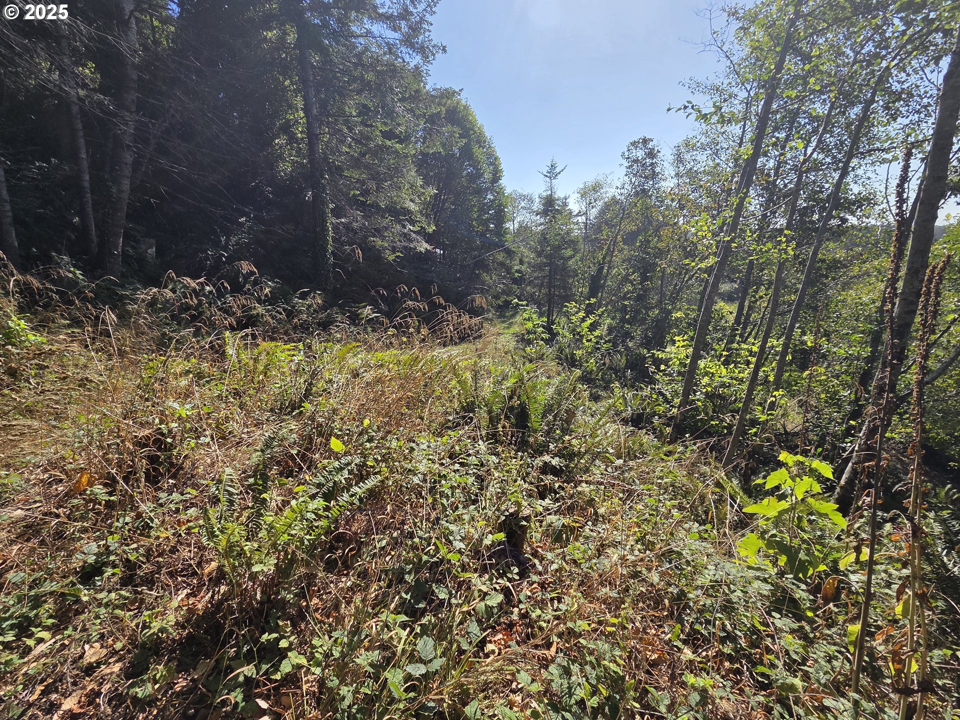 Hillside Acres Road, Unit 124 Gold Beach, OR 97444 - Photo 29 of 30 a view of swimming pool and trees
