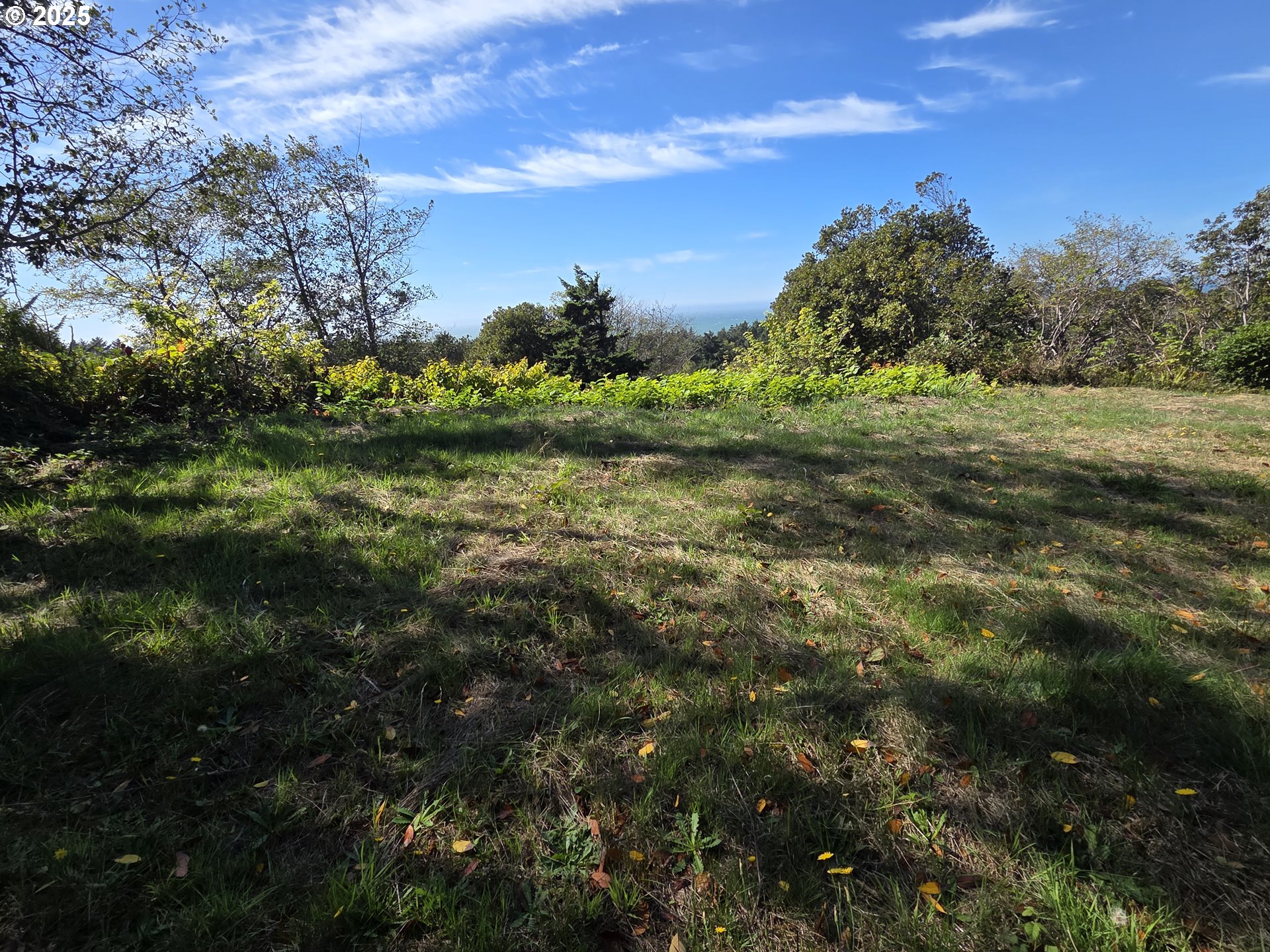 Hillside Acres Road, Unit 124 Gold Beach, OR 97444 - Photo 30 of 30 a view of a field with an ocean