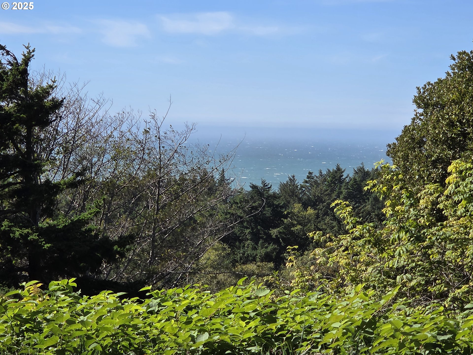 Hillside Acres Road, Unit 124 Gold Beach, OR 97444 - Photo 3 of 30 a view of a garden