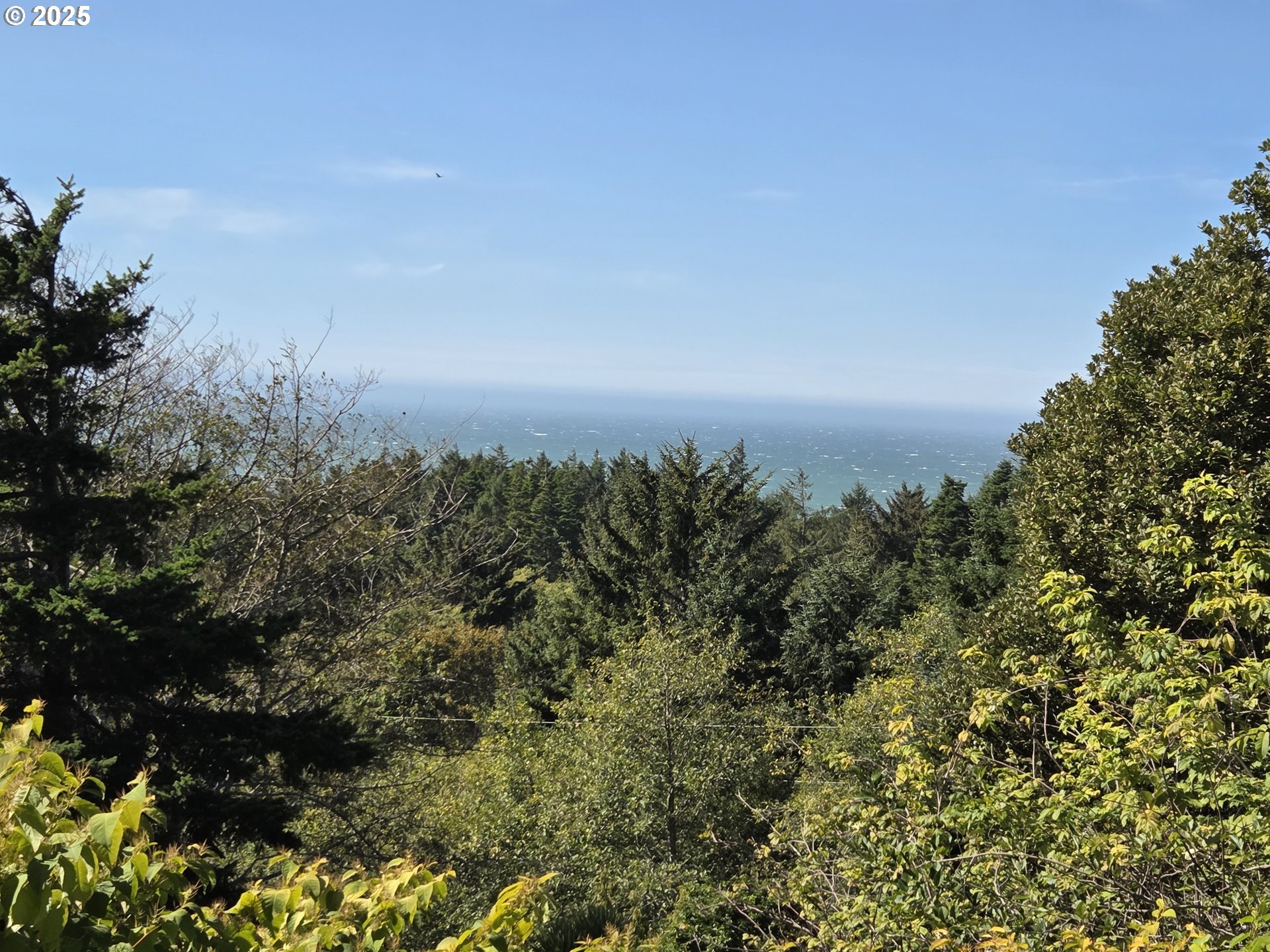 Hillside Acres Road, Unit 124 Gold Beach, OR 97444 - Photo 4 of 30 a view of a bunch of trees