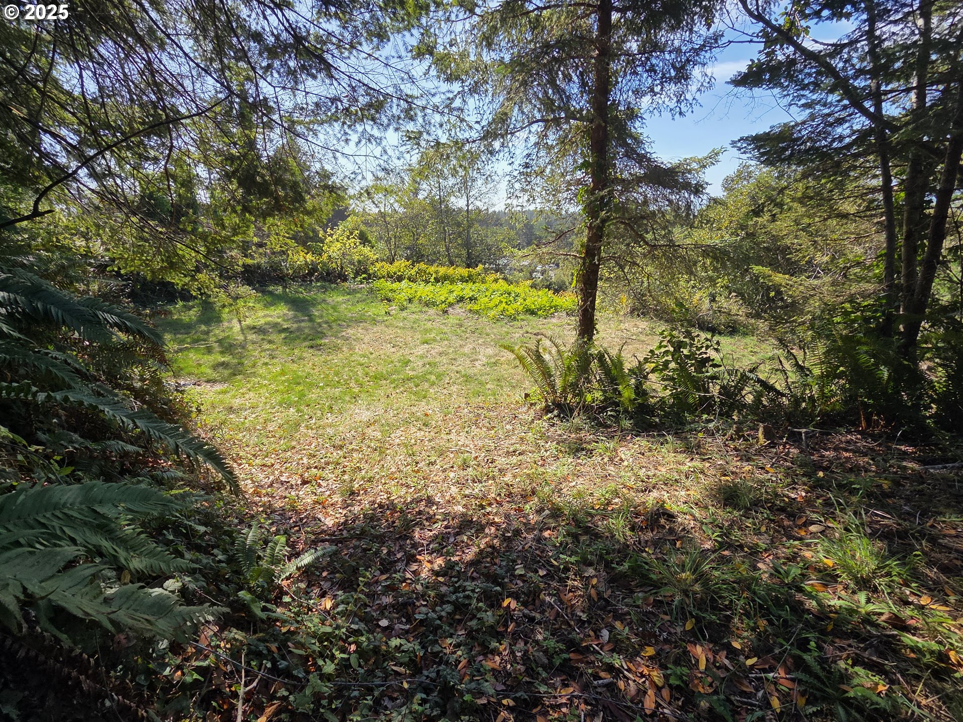 Hillside Acres Road, Unit 124 Gold Beach, OR 97444 - Photo 6 of 30 a view of a yard with large trees