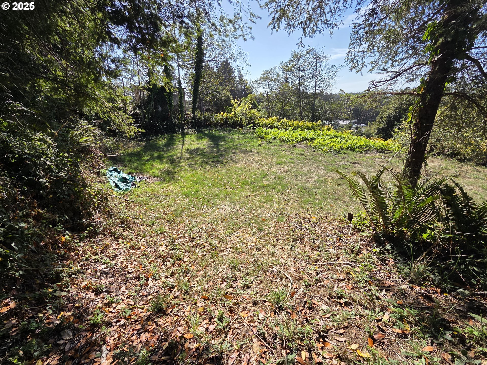 Hillside Acres Road, Unit 124 Gold Beach, OR 97444 - Photo 7 of 30