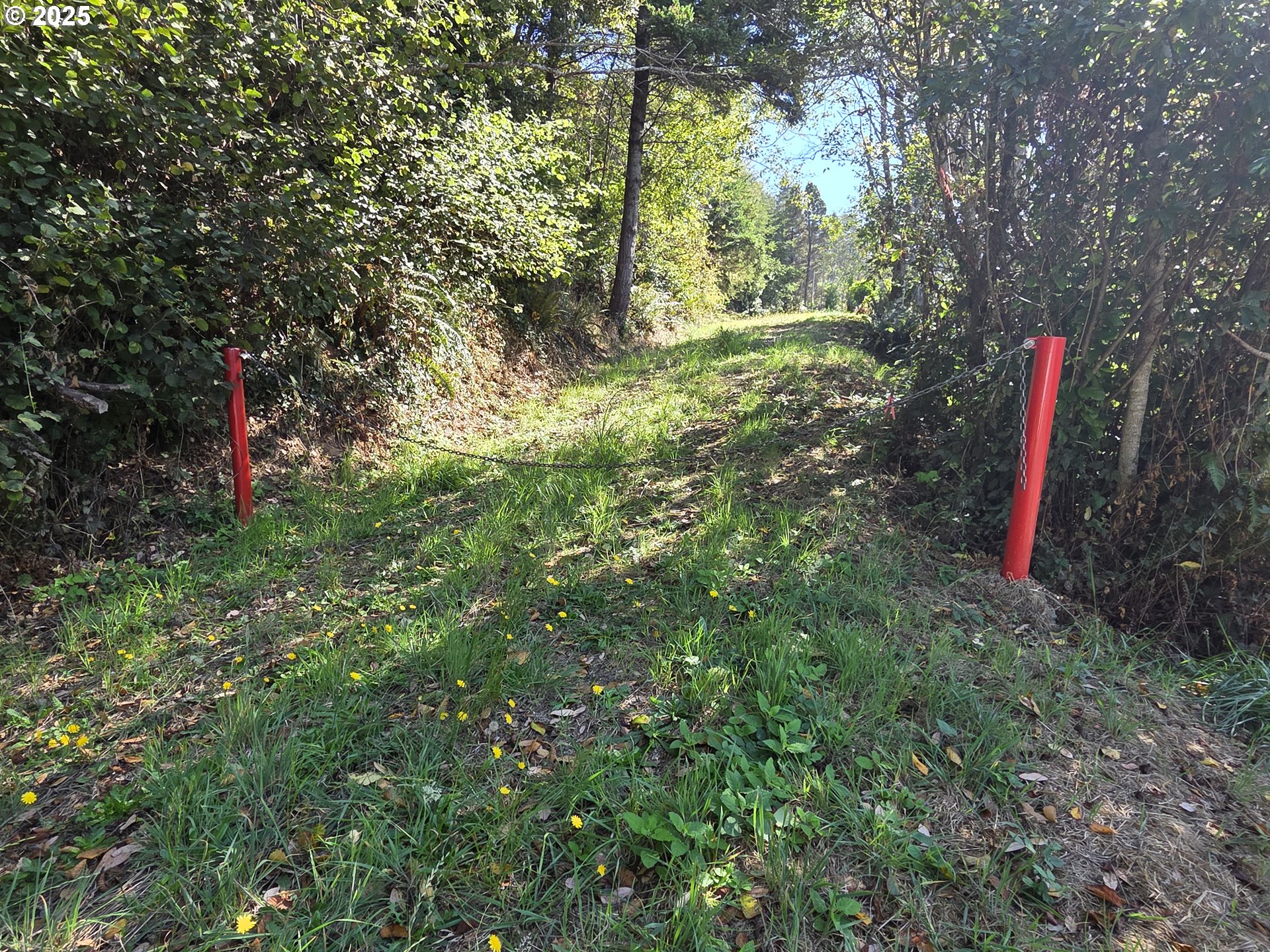 Hillside Acres Road, Unit 124 Gold Beach, OR 97444 - Photo 8 of 30 a close up of a tree