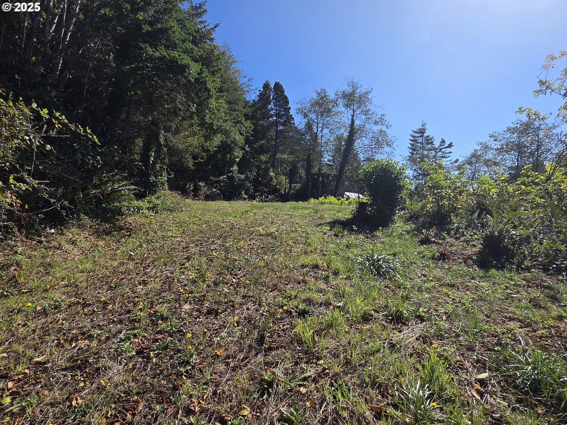 Hillside Acres Road, Unit 124 Gold Beach, OR 97444 - Photo 9 of 30 a view of a yard with a tree