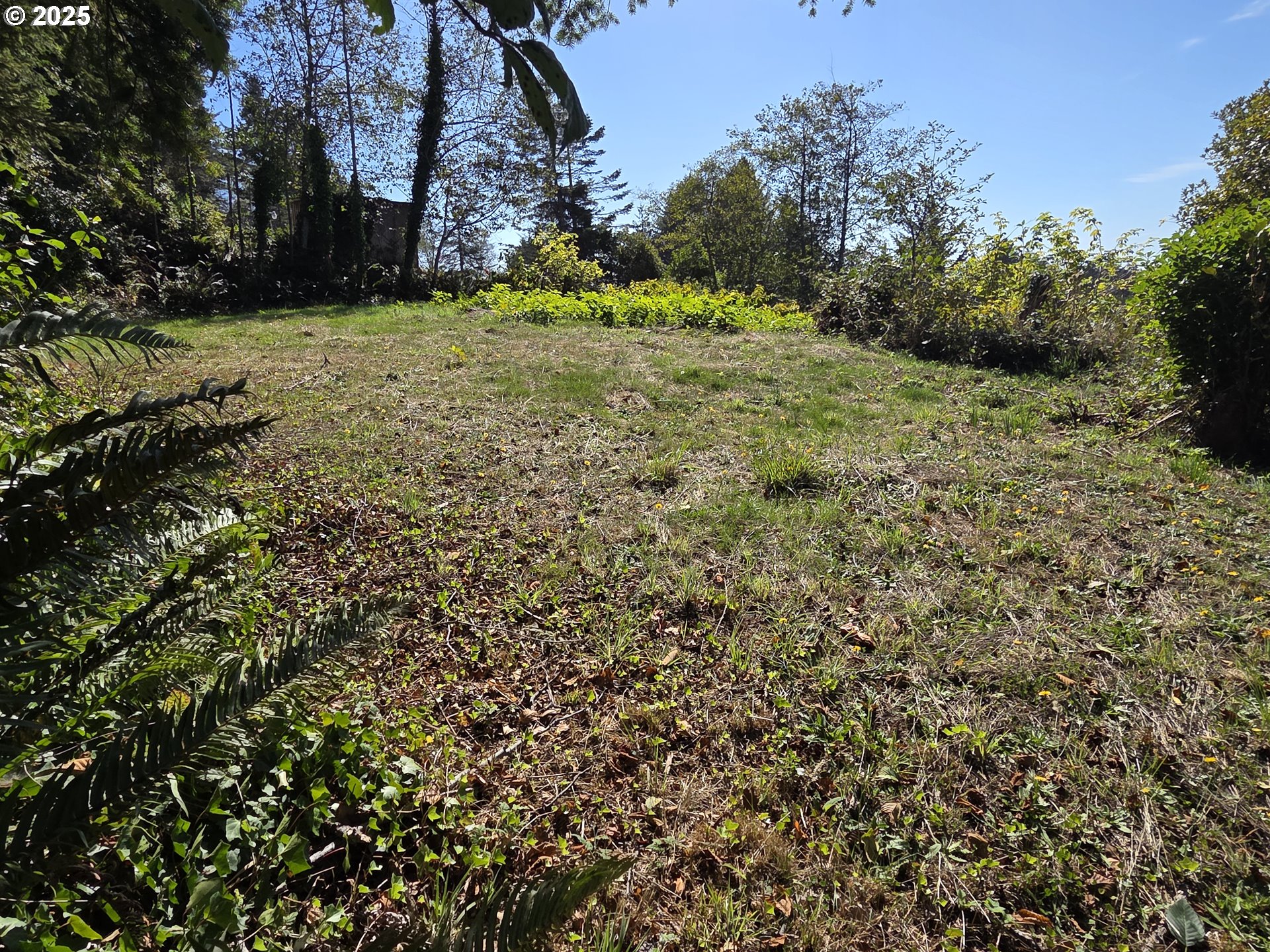 Hillside Acres Road, Unit 124 Gold Beach, OR 97444 - Photo 10 of 30 a view of a yard with a tree