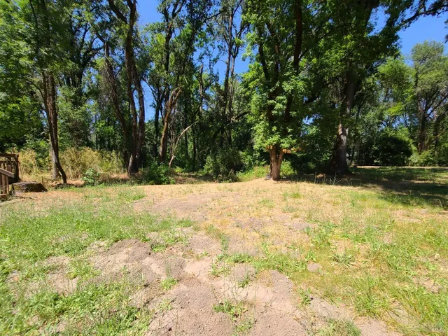 a view of outdoor space with trees