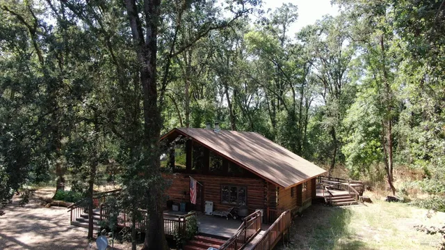 a view of a tree in a yard