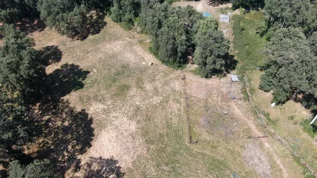 a view of a backyard with large trees