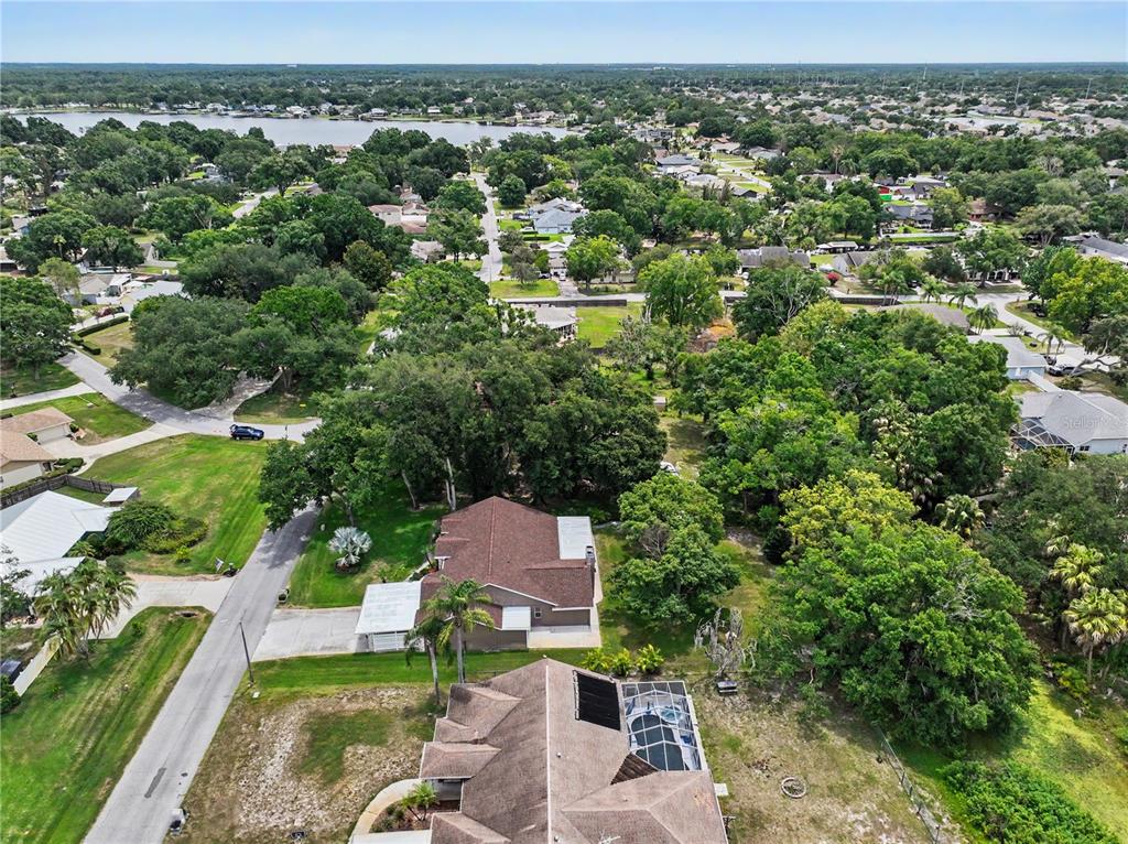 22244 Shoreside Drive Land O' Lakes, FL 34639 - Photo 4 of 8