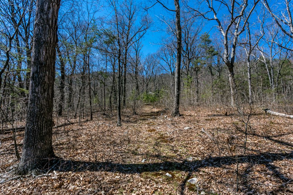 53 Miracle Springs Road Elkton, VA 22827 - Photo 1 of 20 Gallery Image 1