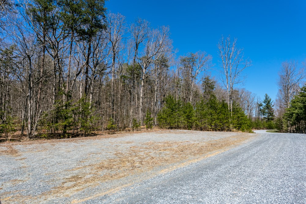 53 Miracle Springs Road Elkton, VA 22827 - Photo 14 of 20 Gallery Image 14