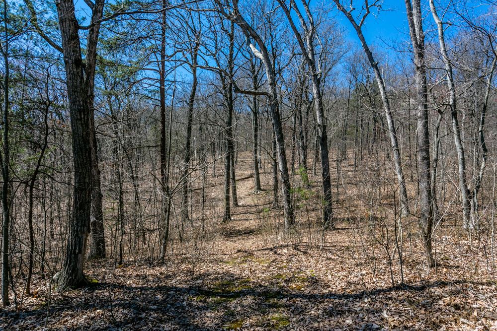 53 Miracle Springs Road Elkton, VA 22827 - Photo 8 of 20 Gallery Image 8