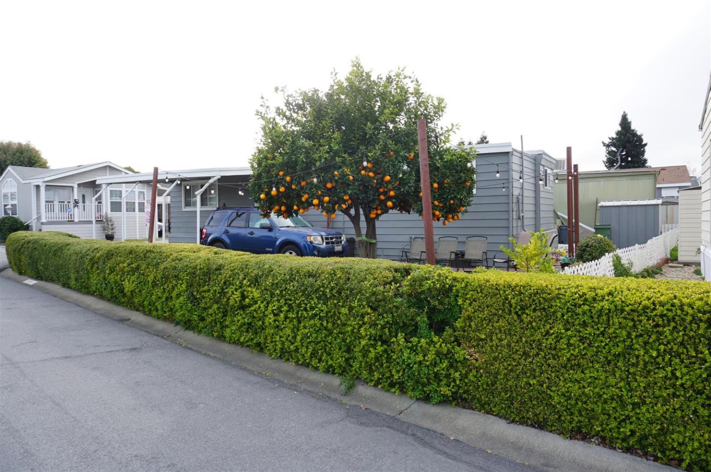 2150 Almaden Road, Unit 62 San Jose, CA 95125 - Photo 28 of 38 a view of a garden