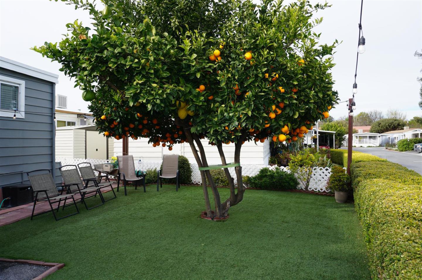 2150 Almaden Road, Unit 62 San Jose, CA 95125 - Photo 29 of 38 a garden view with a sitting space