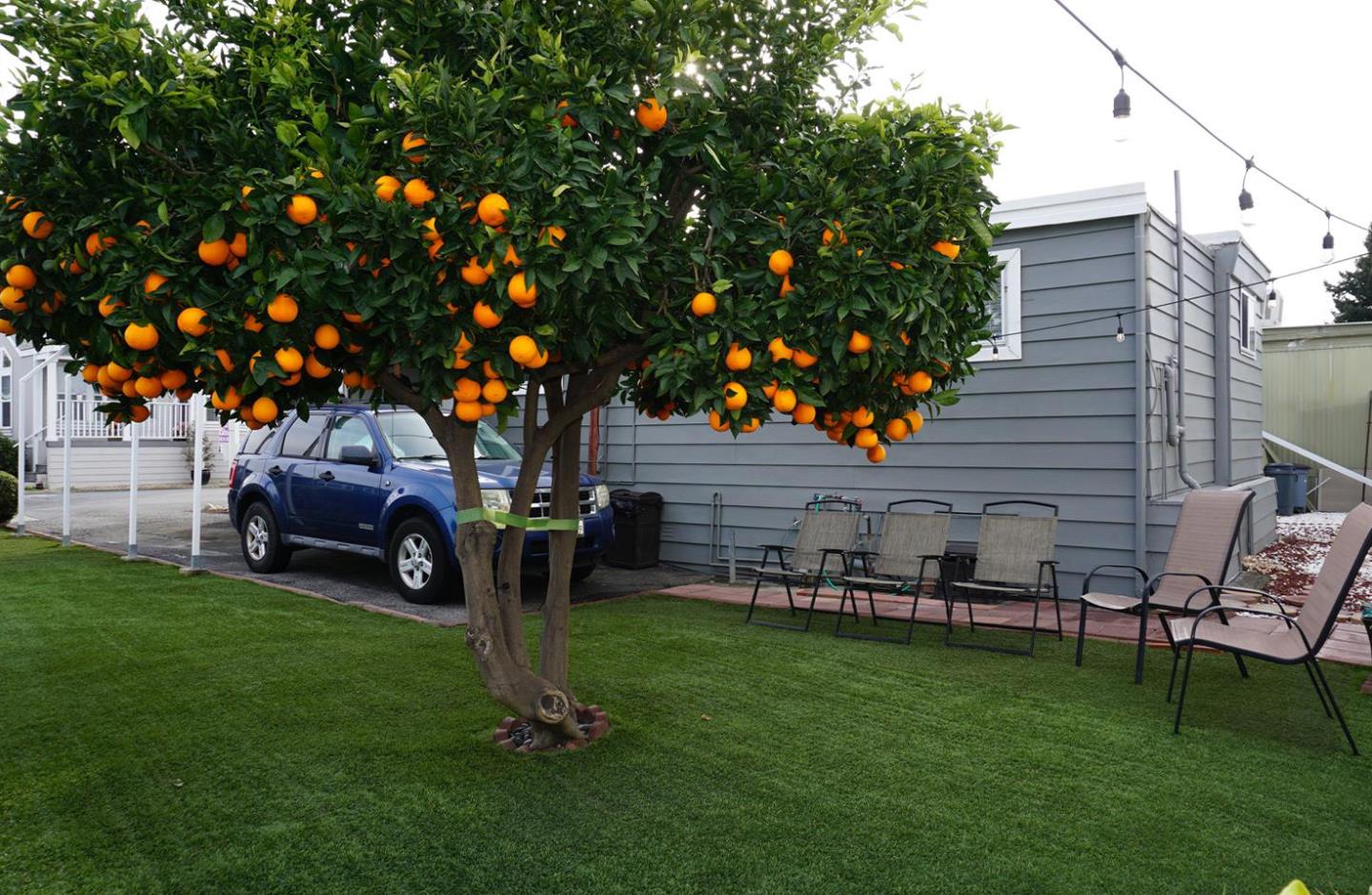 2150 Almaden Road, Unit 62 San Jose, CA 95125 - Photo 30 of 38 a view of a house with backyard porch and sitting area