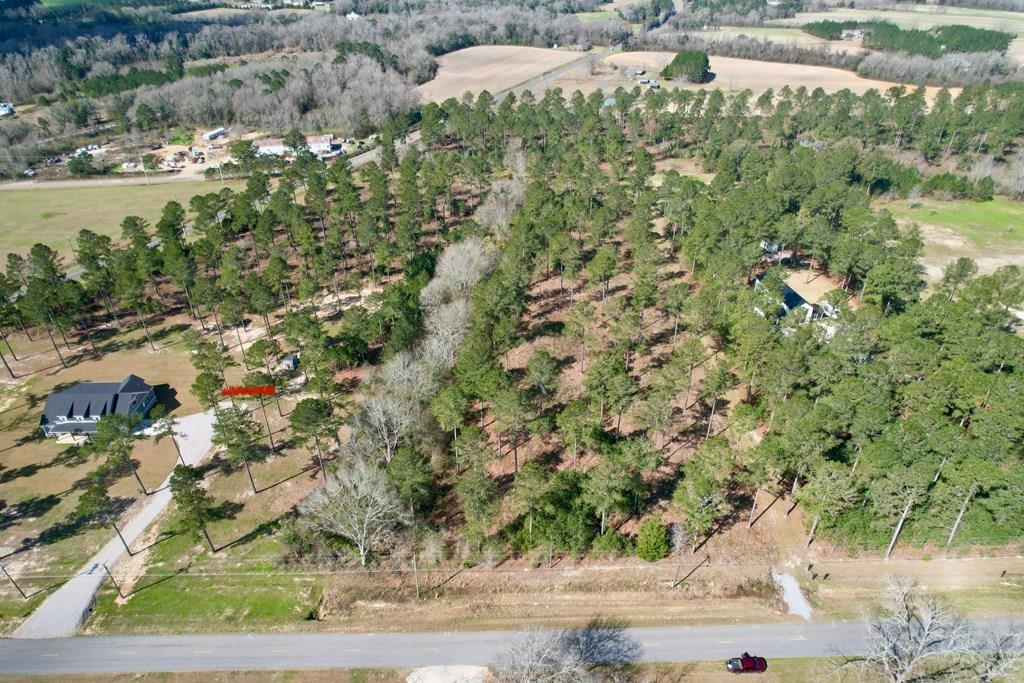 0 Ben Ivey Road Webb, AL 36376 - Photo 1 of 7