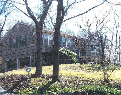 16 Druid Lane Ridgefield, CT 06877 - Photo 1 of 1 a view of a yard with plants and trees