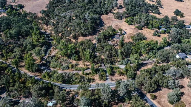 a view of a yard with a tree