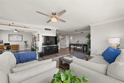 a living room with furniture and a potted plant
