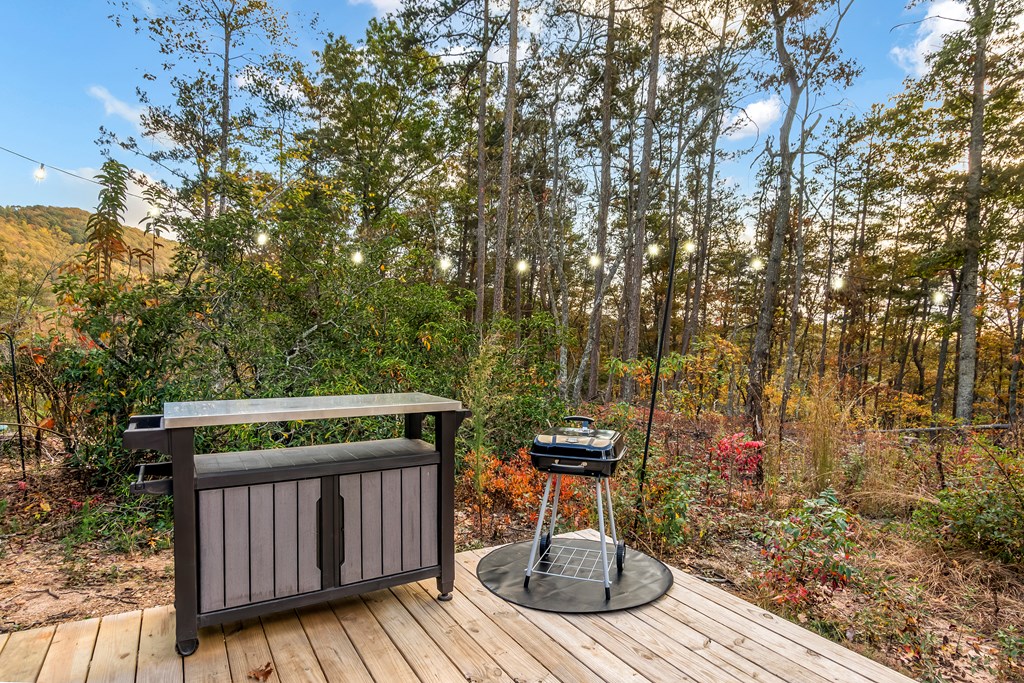 115 Raleigh Ridge Drive Blue Ridge, GA 30513 - Photo 17 of 30 a view of outdoor space with wooden floor and outdoor seating