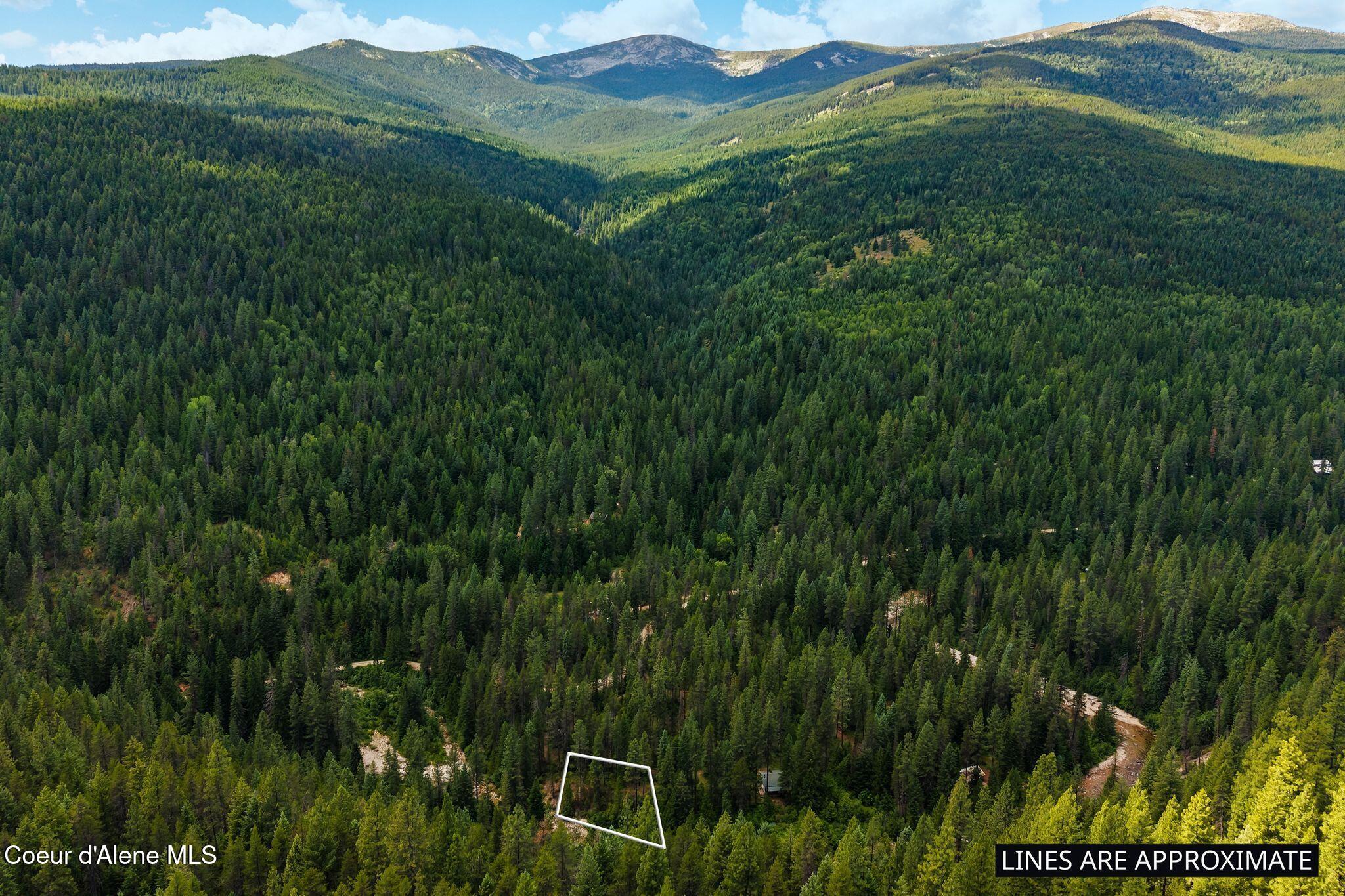Nna Lantern Lane Sandpoint, ID 83864 - Photo 4 of 29 32_DJI_20260703035613_0914_D plotline